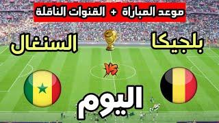 خاص ديما نيوز | عندما يترجم التكتيك صراع القارات: تفاصيل الصدام الخفي بين بلجيكا والسنغال